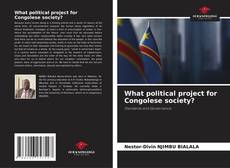 Bookcover of What political project for Congolese society?