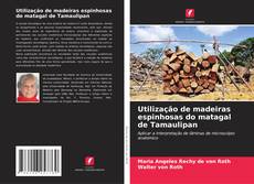 Portada del libro de Utilização de madeiras espinhosas do matagal de Tamaulipan