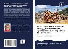 Portada del libro de Использование колючих пород древесины из кустарниковых зарослей Тамаулипана