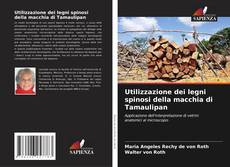 Copertina di Utilizzazione dei legni spinosi della macchia di Tamaulipan