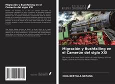 Buchcover von Migración y Bushfalling en el Camerún del siglo XXI