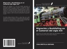 Copertina di Migración y Bushfalling en el Camerún del siglo XXI