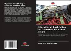 Migration et bushfalling au Cameroun du 21ème siècle kitap kapağı