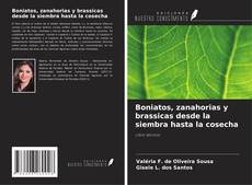Bookcover of Boniatos, zanahorias y brassicas desde la siembra hasta la cosecha