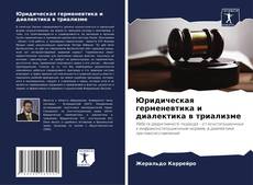 Юридическая герменевтика и диалектика в триализме kitap kapağı