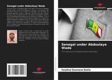Capa do livro de Senegal under Abdoulaye Wade 
