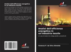 Bookcover of Analisi dell'efficienza energetica in un'industria tessile