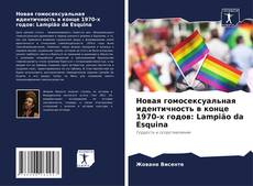 Новая гомосексуальная идентичность в конце 1970-х годов: Lampião da Esquina的封面