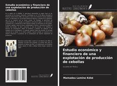 Buchcover von Estudio económico y financiero de una explotación de producción de cebollas