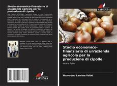 Buchcover von Studio economico-finanziario di un'azienda agricola per la produzione di cipolle