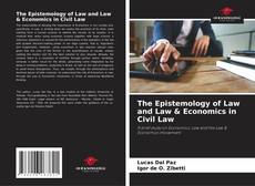 The Epistemology of Law and Law & Economics in Civil Law kitap kapağı