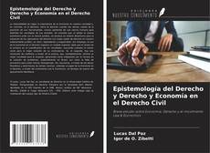 Epistemología del Derecho y Derecho y Economía en el Derecho Civil kitap kapağı