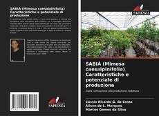 Bookcover of SABIÁ (Mimosa caesalpinifolia) Caratteristiche e potenziale di produzione