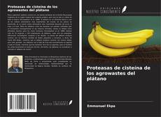 Capa do livro de Proteasas de cisteína de los agrowastes del plátano 