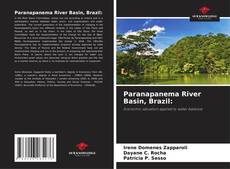 Paranapanema River Basin, Brazil: kitap kapağı