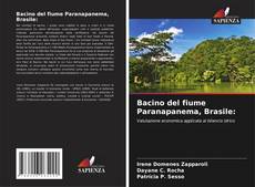 Bacino del fiume Paranapanema, Brasile: kitap kapağı