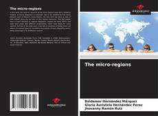 Capa do livro de The micro-regions 