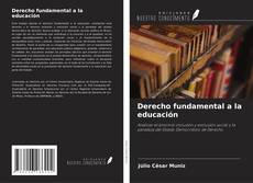 Portada del libro de Derecho fundamental a la educación