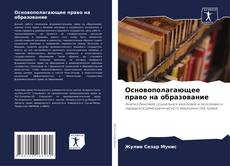 Bookcover of Основополагающее право на образование