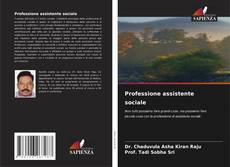 Professione assistente sociale kitap kapağı