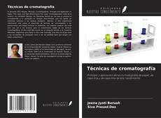 Bookcover of Técnicas de cromatografía