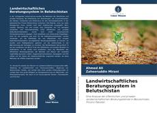 Landwirtschaftliches Beratungssystem in Belutschistan kitap kapağı