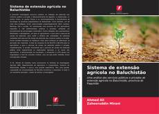Copertina di Sistema de extensão agrícola no Baluchistão
