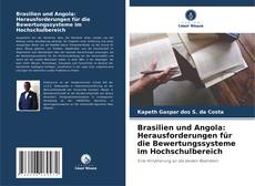 Brasilien und Angola: Herausforderungen für die Bewertungssysteme im Hochschulbereich kitap kapağı