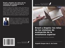 Brasil y Angola: los retos de los sistemas de evaluación de la enseñanza superior kitap kapağı