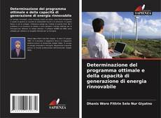 Copertina di Determinazione del programma ottimale e della capacità di generazione di energia rinnovabile