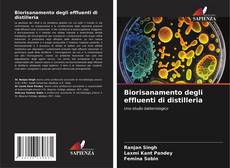 Borítókép a  Biorisanamento degli effluenti di distilleria - hoz