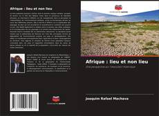 Buchcover von Afrique : lieu et non lieu