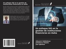 Buchcover von Un enfoque SIG en la gestión de instituciones financieras en Awka