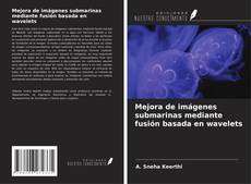 Copertina di Mejora de imágenes submarinas mediante fusión basada en wavelets