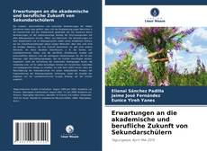 Erwartungen an die akademische und berufliche Zukunft von Sekundarschülern kitap kapağı