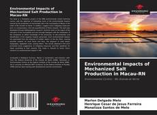 Couverture de Environmental Impacts of Mechanized Salt Production in Macau-RN