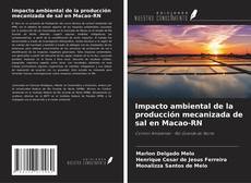Copertina di Impacto ambiental de la producción mecanizada de sal en Macao-RN