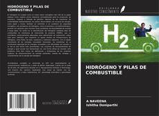 HIDRÓGENO Y PILAS DE COMBUSTIBLE kitap kapağı