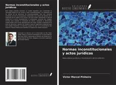 Normas inconstitucionales y actos jurídicos kitap kapağı