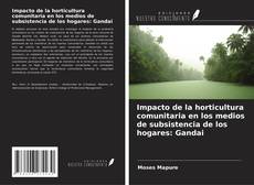 Buchcover von Impacto de la horticultura comunitaria en los medios de subsistencia de los hogares: Gandai