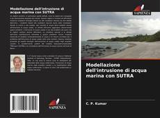 Copertina di Modellazione dell'intrusione di acqua marina con SUTRA