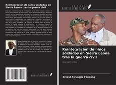 Capa do livro de Reintegración de niños soldados en Sierra Leona tras la guerra civil 