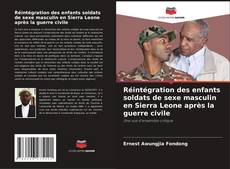 Capa do livro de Réintégration des enfants soldats de sexe masculin en Sierra Leone après la guerre civile 
