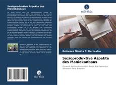Buchcover von Sozioproduktive Aspekte des Maniokanbaus