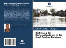 Buchcover von Kartierung des Hochwasserrisikos in der Stadt Fombap-Kamerun