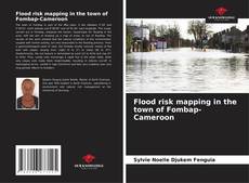Bookcover of Flood risk mapping in the town of Fombap-Cameroon