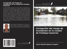 Bookcover of Cartografía del riesgo de inundación en la ciudad de Fombap-Camerún