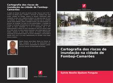Couverture de Cartografia dos riscos de inundação na cidade de Fombap-Camarões