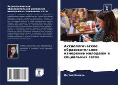 Bookcover of Аксиологическое образовательное измерение молодежи в социальных сетях