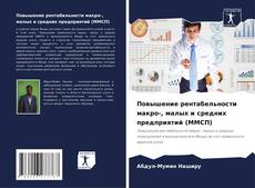Capa do livro de Повышение рентабельности макро-, малых и средних предприятий (ММСП) 
